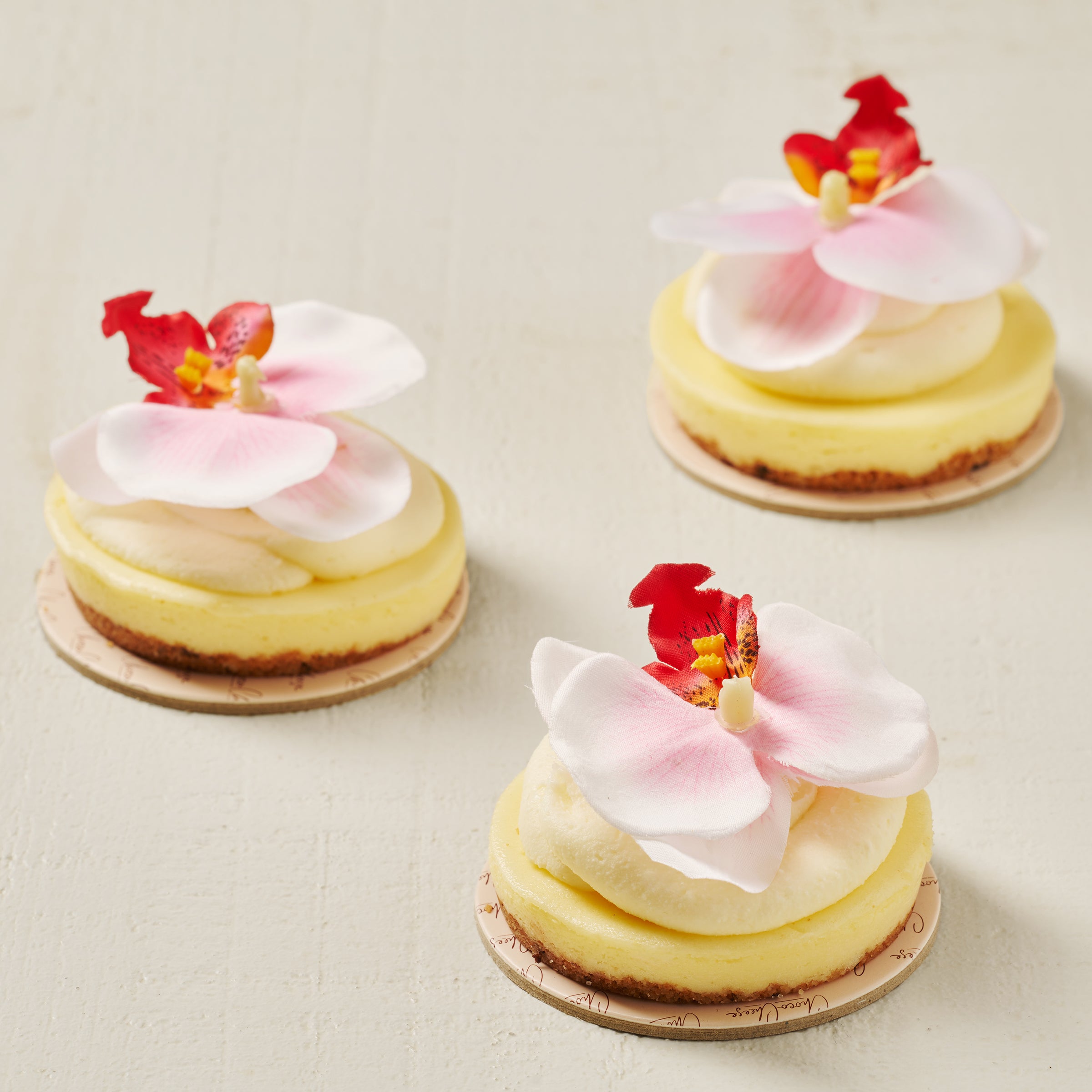 Floral Creamy Cheese Rounds